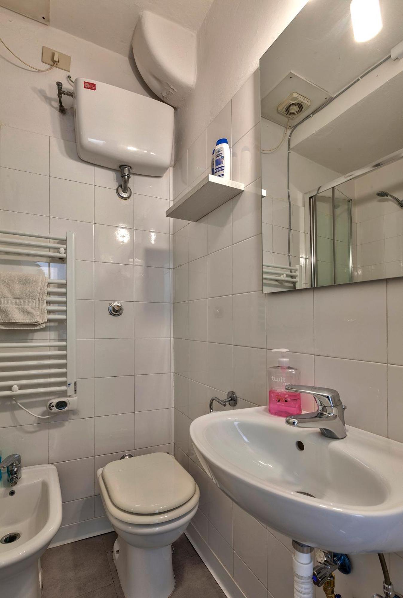 Santo Spirito Appartement Florence